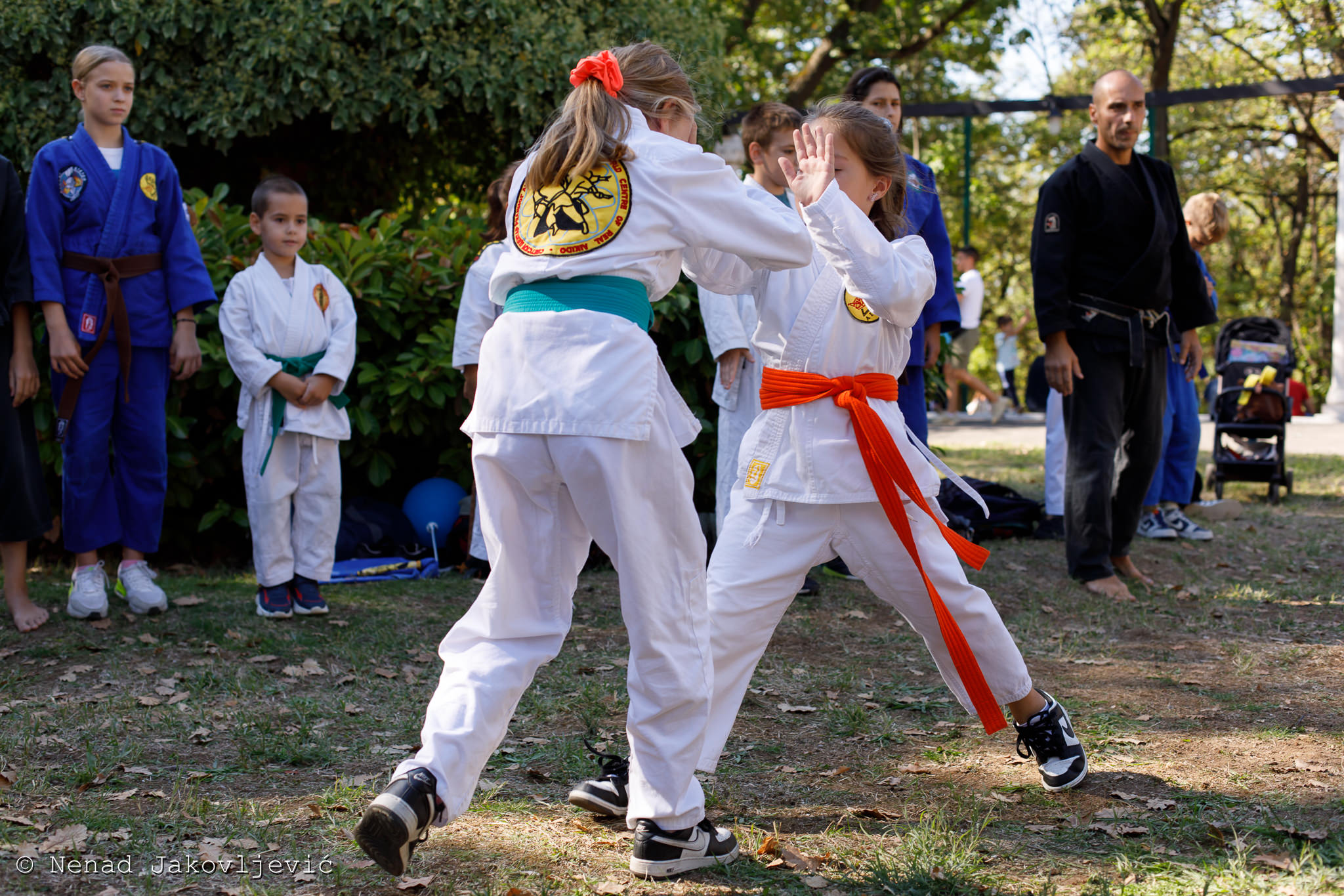 realni aikido dfo 24