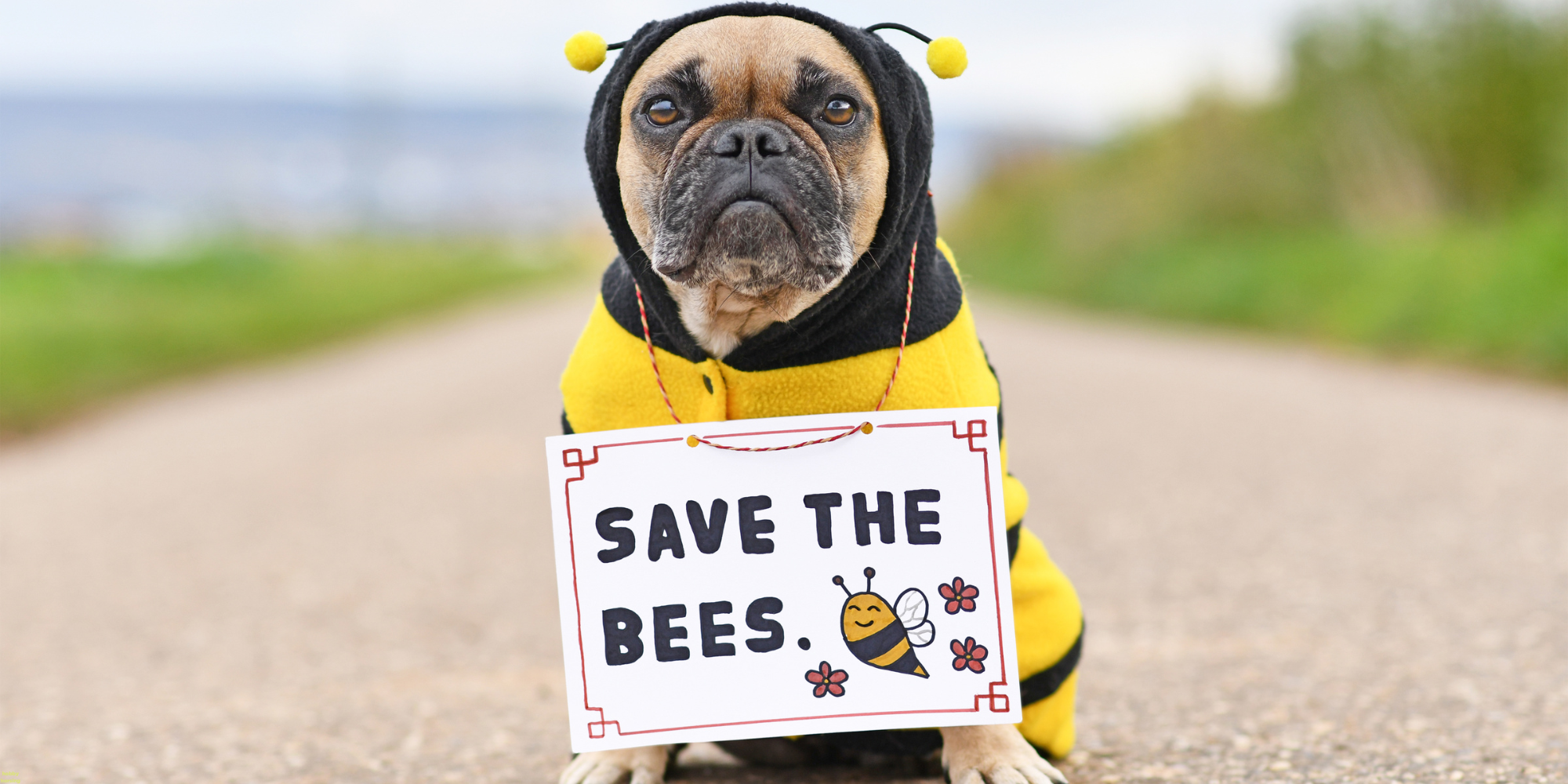 pas nosi znak save the bees